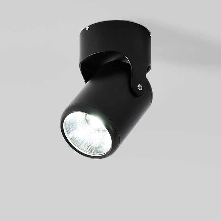 Fun light. Направленный миниатюрный светильник. Потолочный светильник fun s. Потолочный светильник fun l. Светильник фан 1,2 м черный.